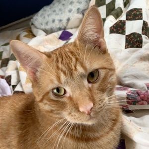 Meet your Posher, Olivia